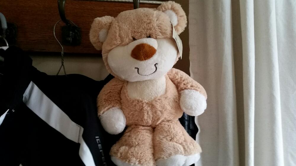 knuffelbeer (Teddy bear)