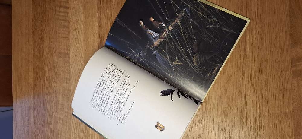 Vængjað myrkur bók