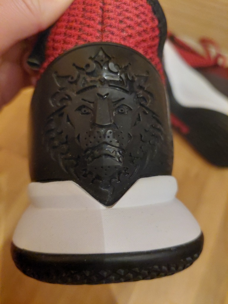 Nike LeBron skór