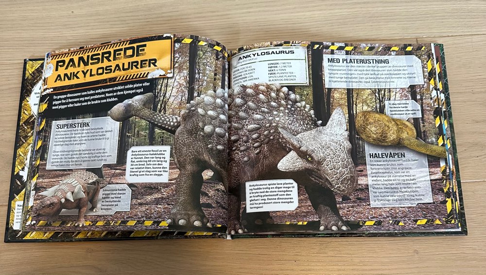 Dino fakta bok