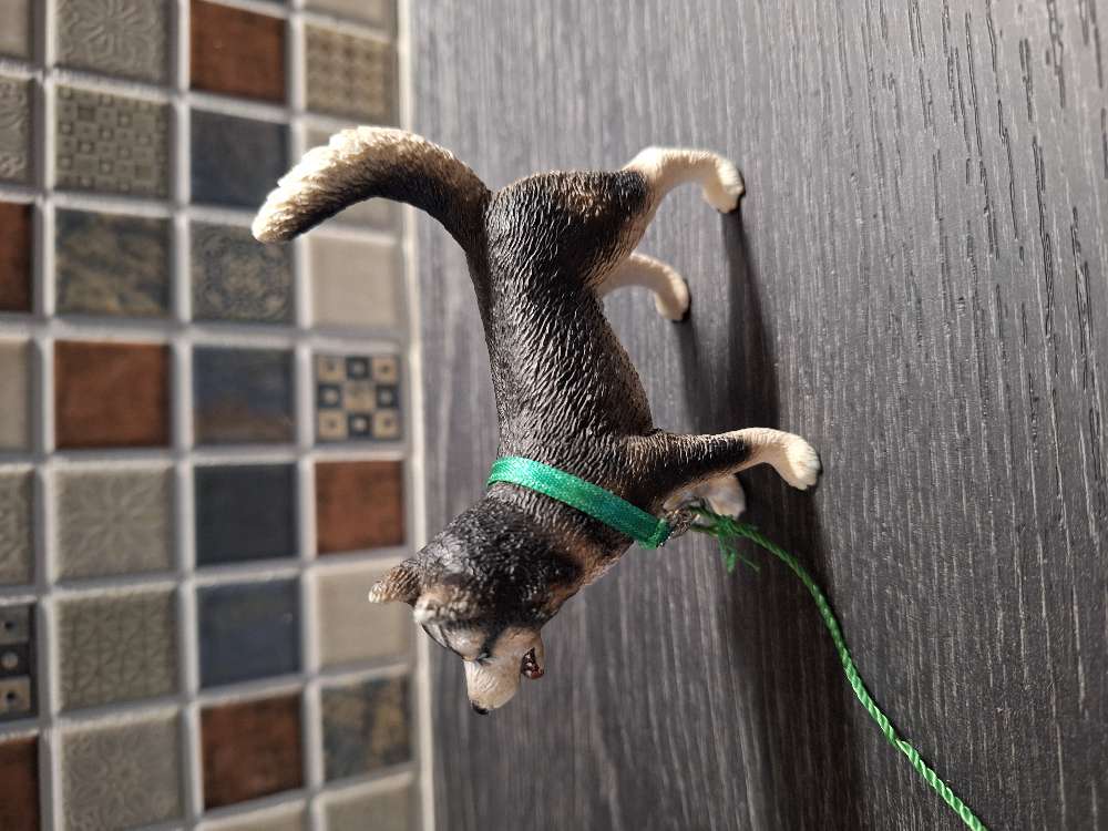 Schleich husky + vih. hihna