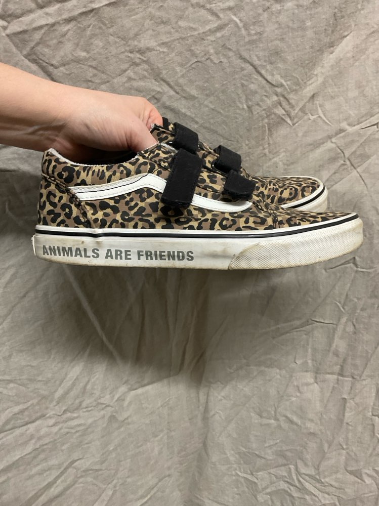 Vans hlébarða skór