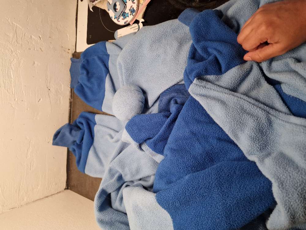 Stitch búningur