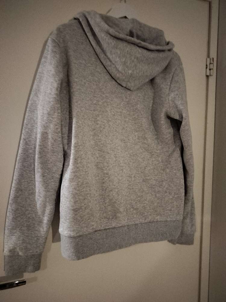 Harm. College hupparitakki