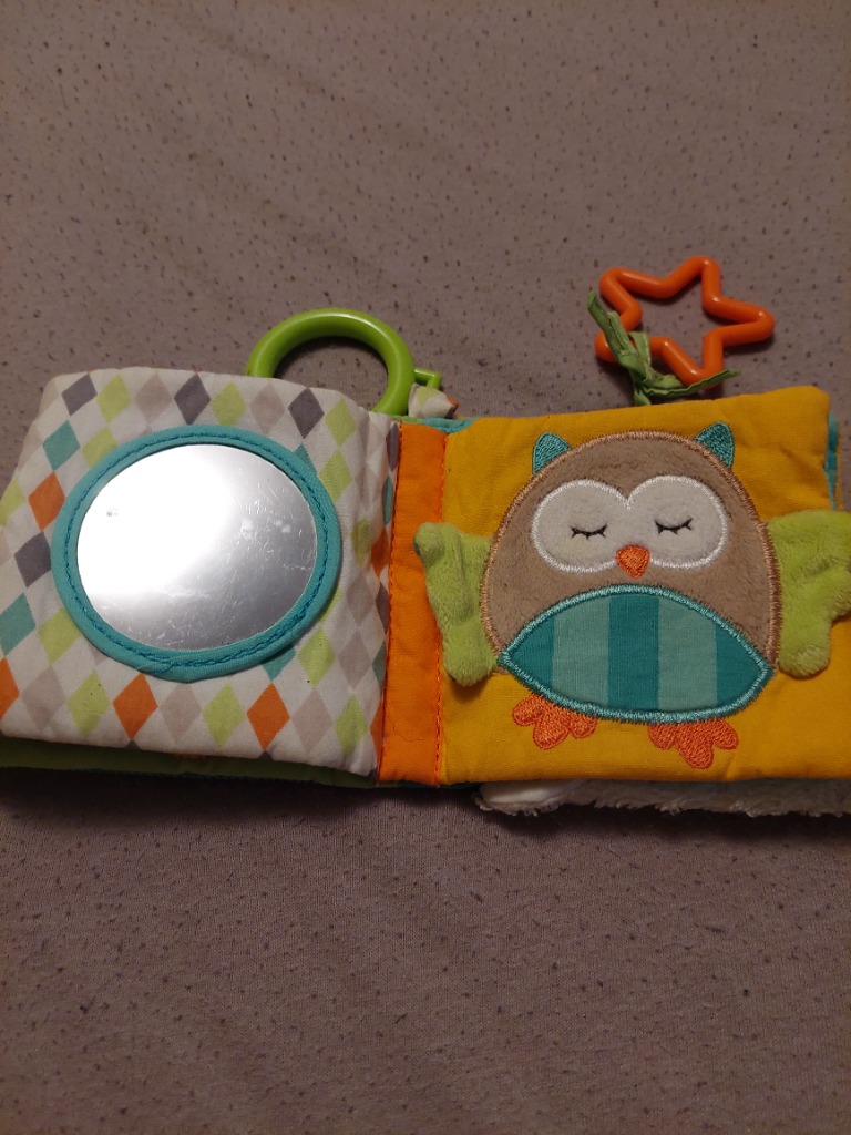 Babyfehn bók