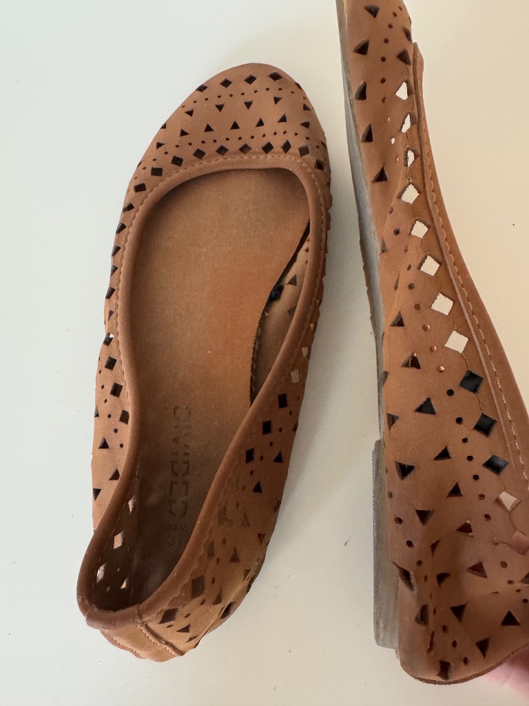 Ruskeat Divided balleriinat, 36
