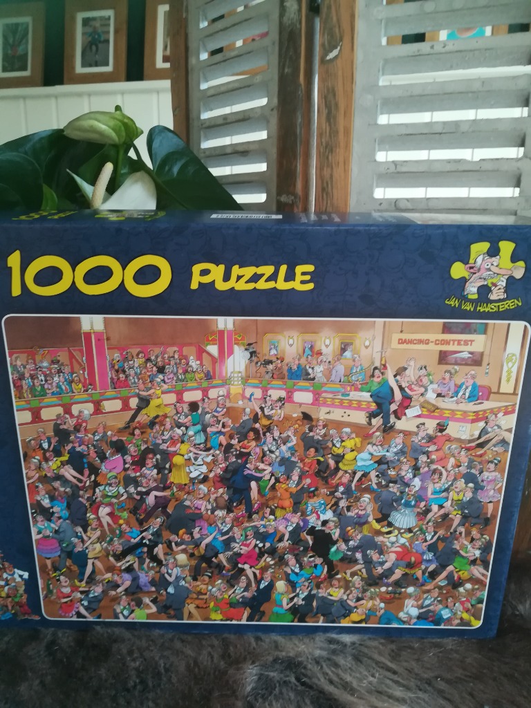 Puzzel 1000 stukjes 
