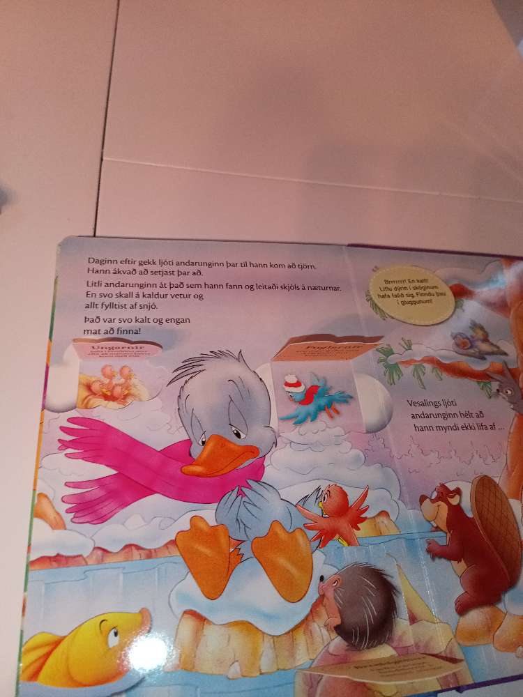 Ljóti andarunginn. Gluggabók