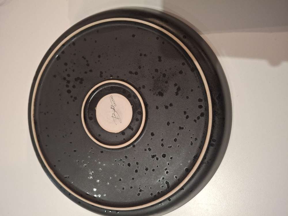 Grænn bitz matardiskur
