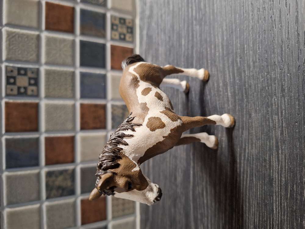 Schleich rusk-valk laikullinen varsa