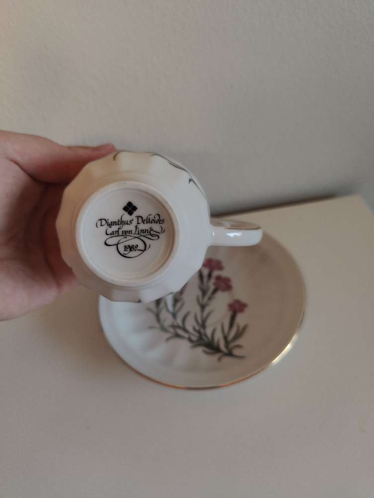 Neilikka kuppi + tassi