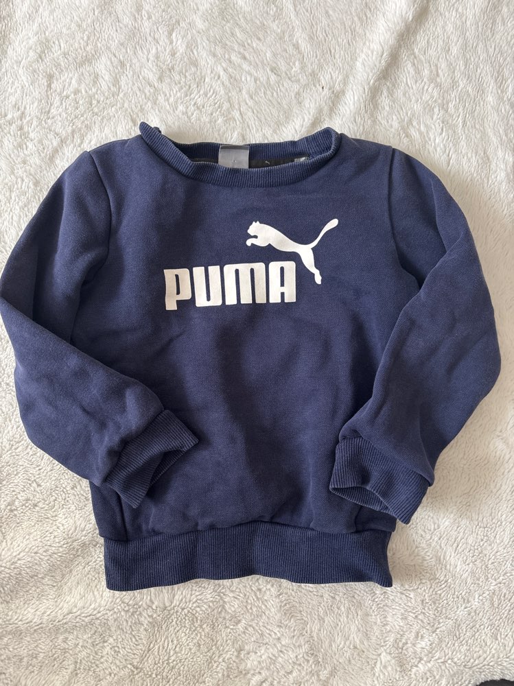 Puma peysa St 110