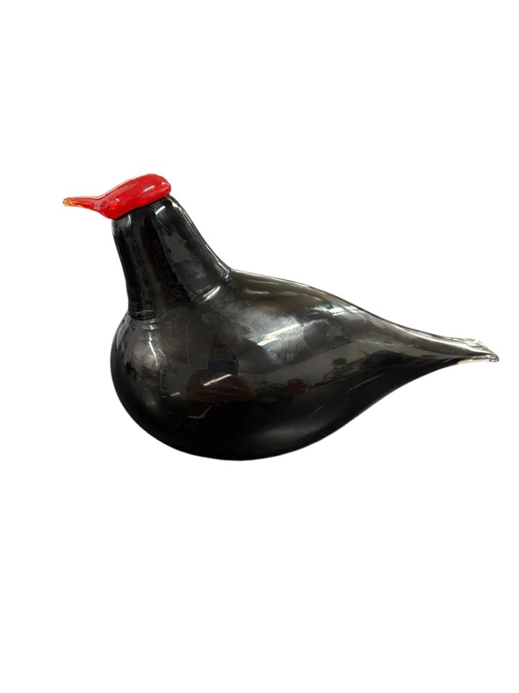 Muurla mustapunainen lasilintu