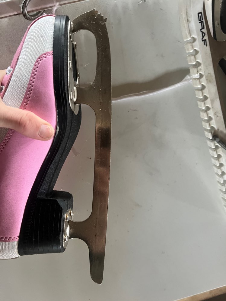 Vaaleenpunaset luistinet