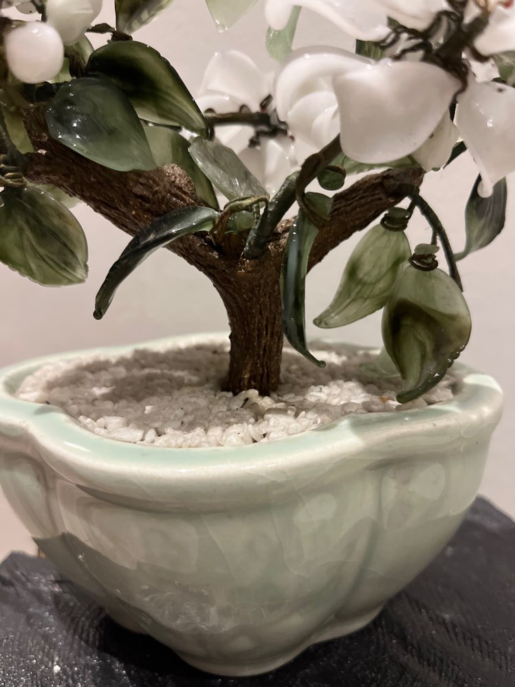 Lasinen bonsai -puu