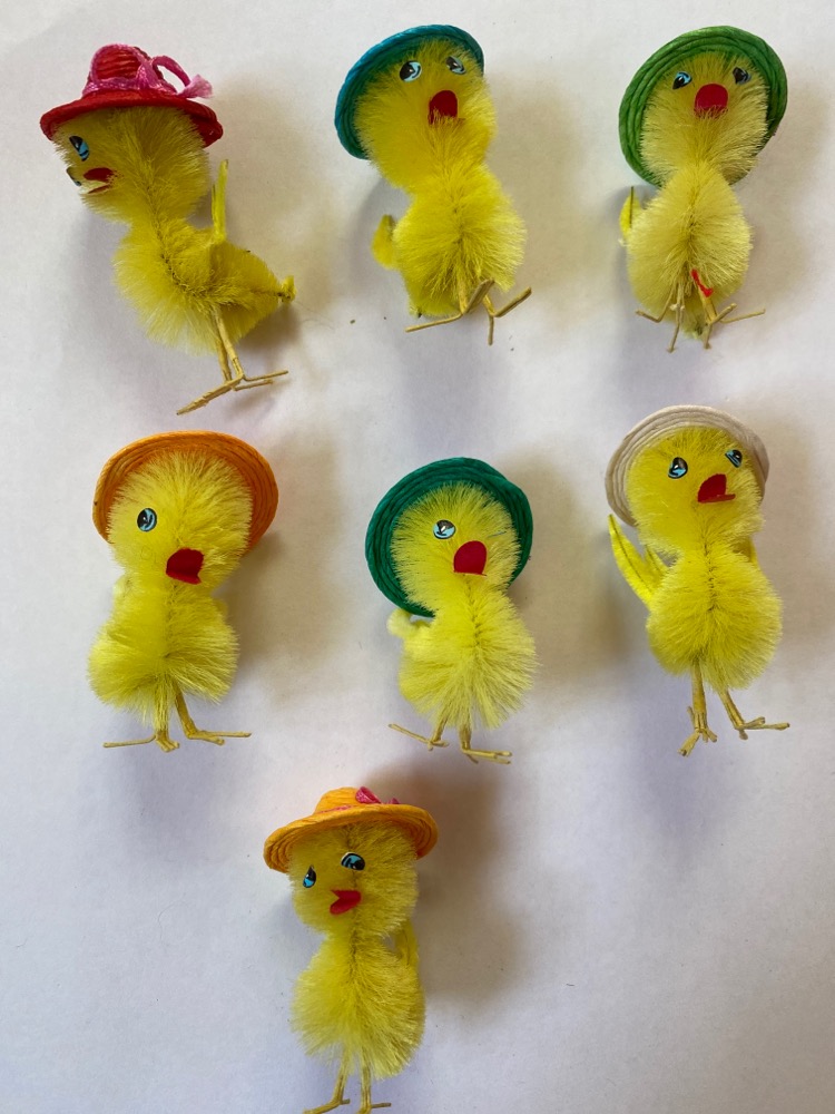 7 kyllinger med hat