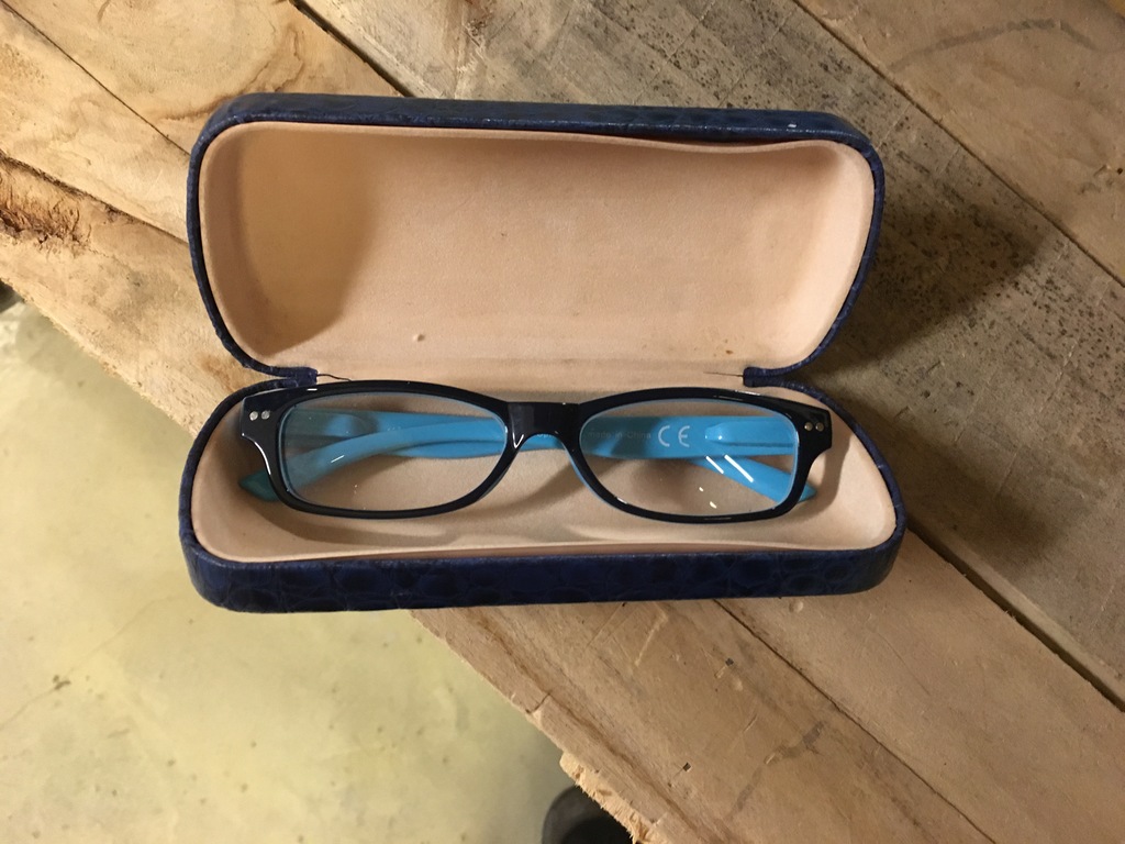 Brillenkoker blauw