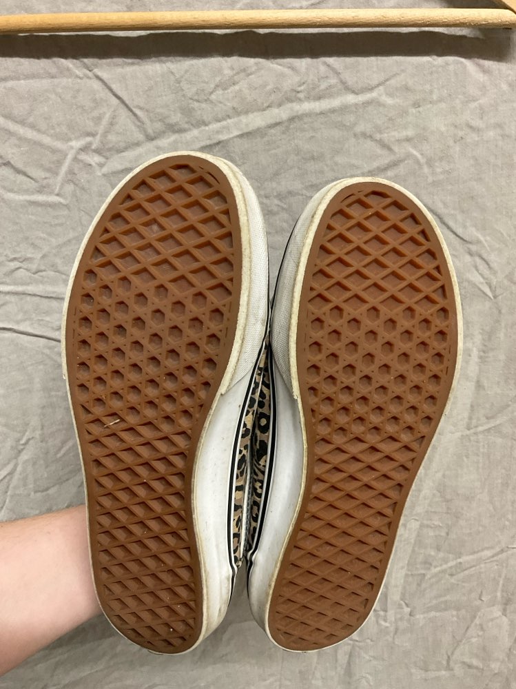 Vans hlébarða skór