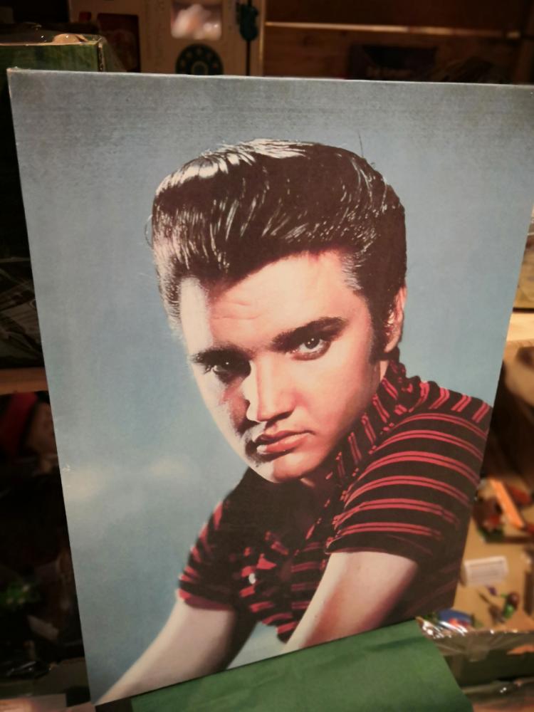 Elvis canvas