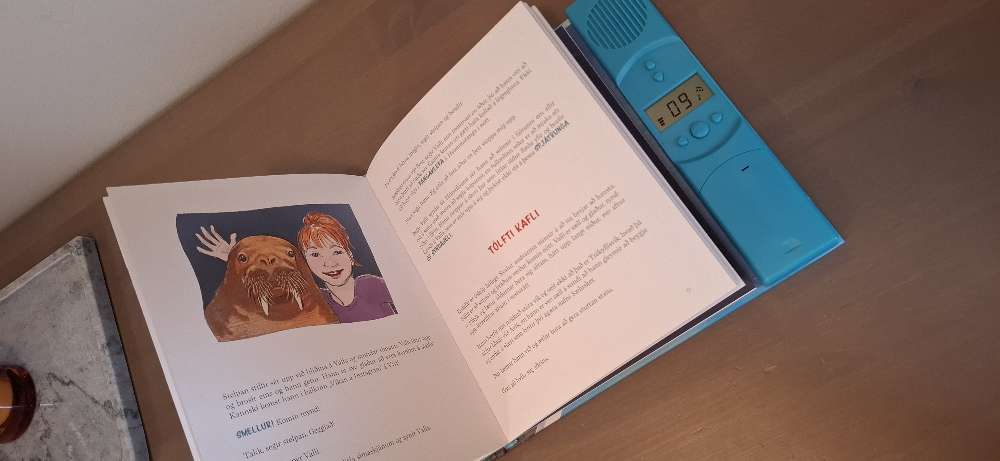 Valli litli rostungur bók