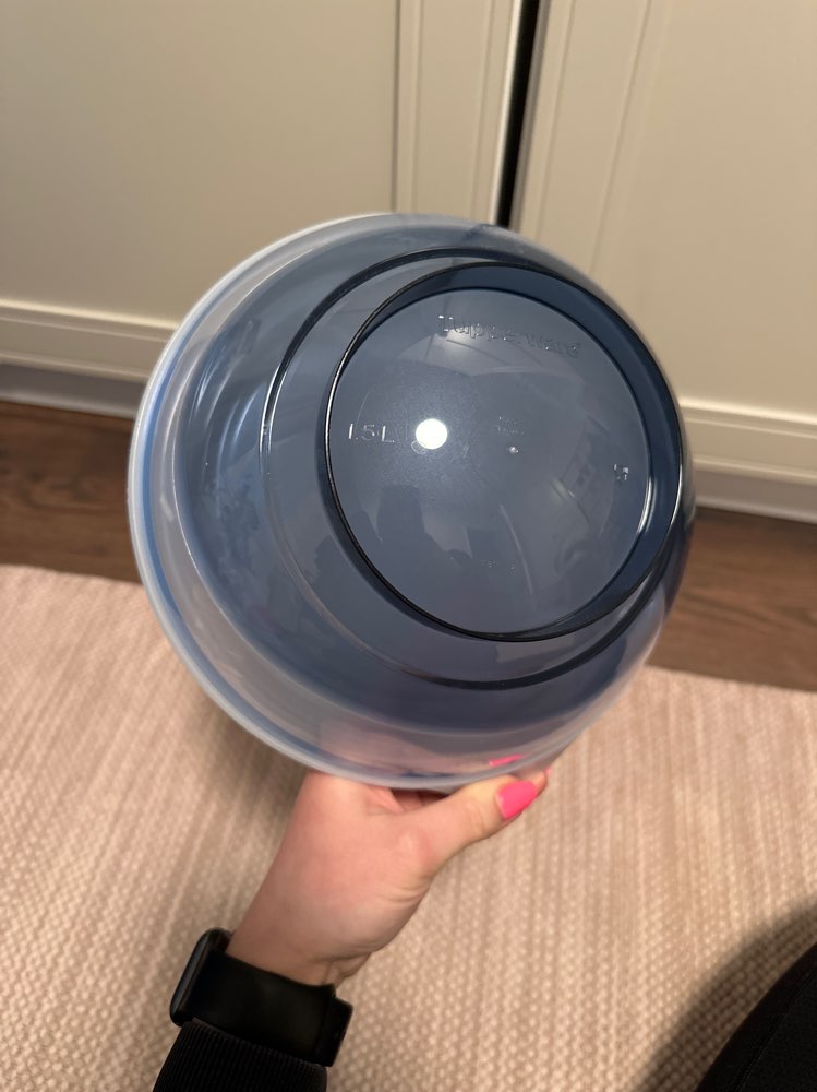 Sininen Tupperware astia + kansi 1,5L