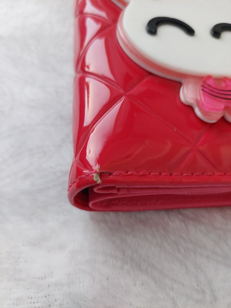 Ihana pupu lompakko peilillä