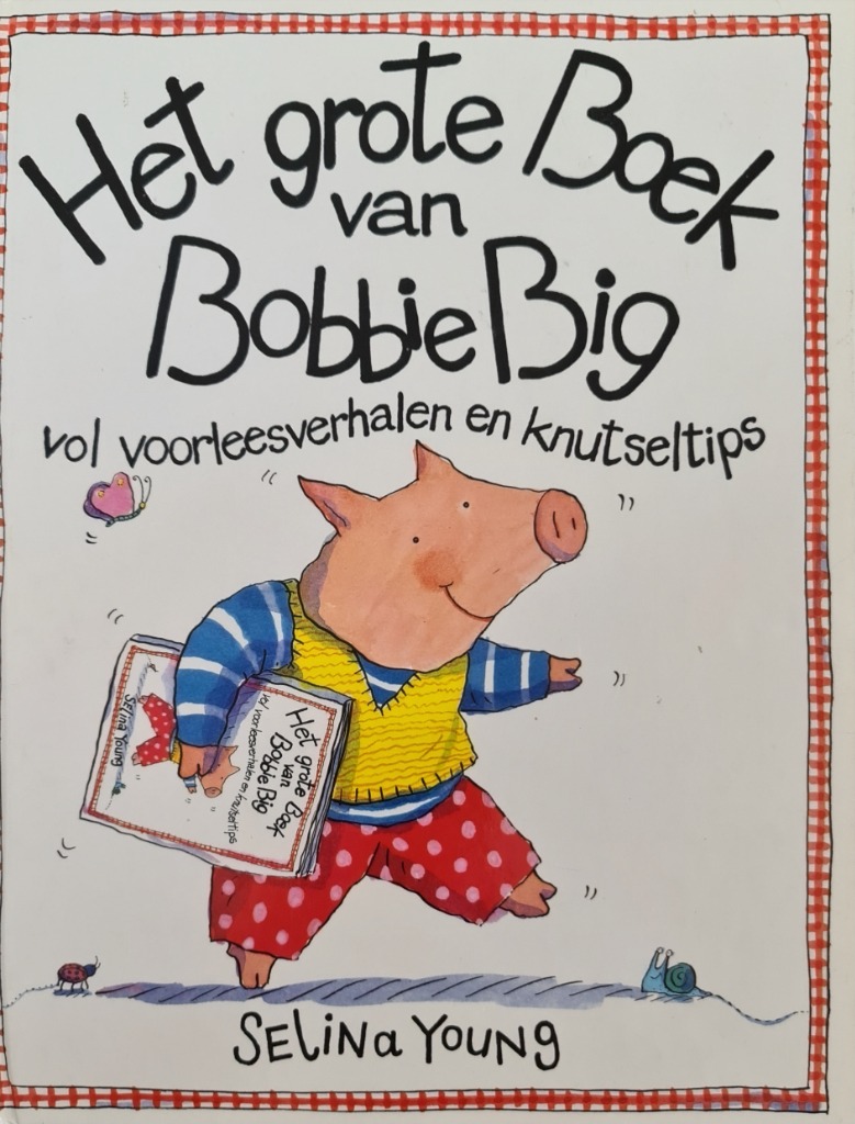 Het grote boek van Big