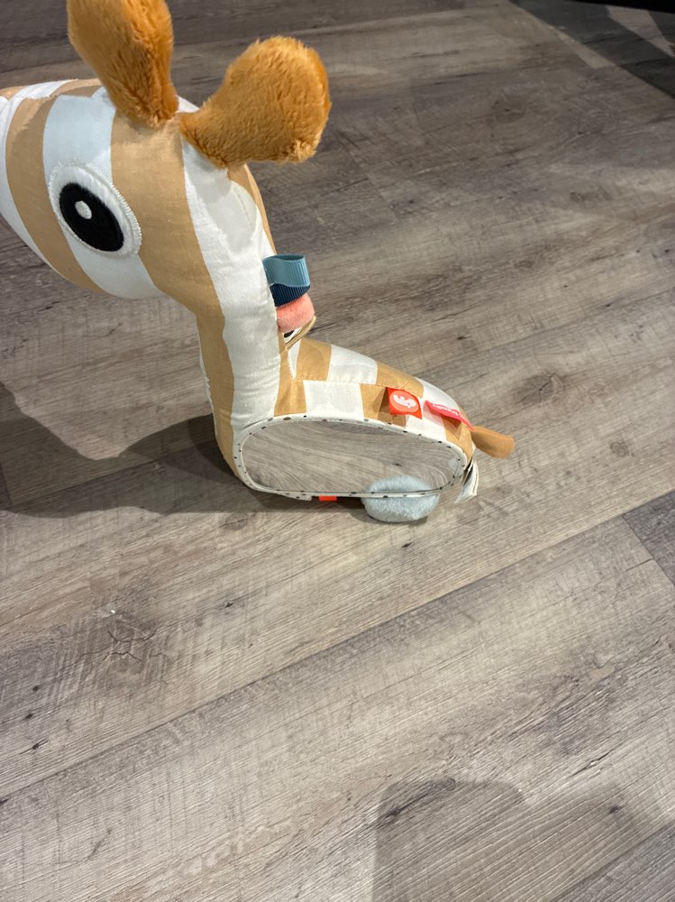 Giraff med speil