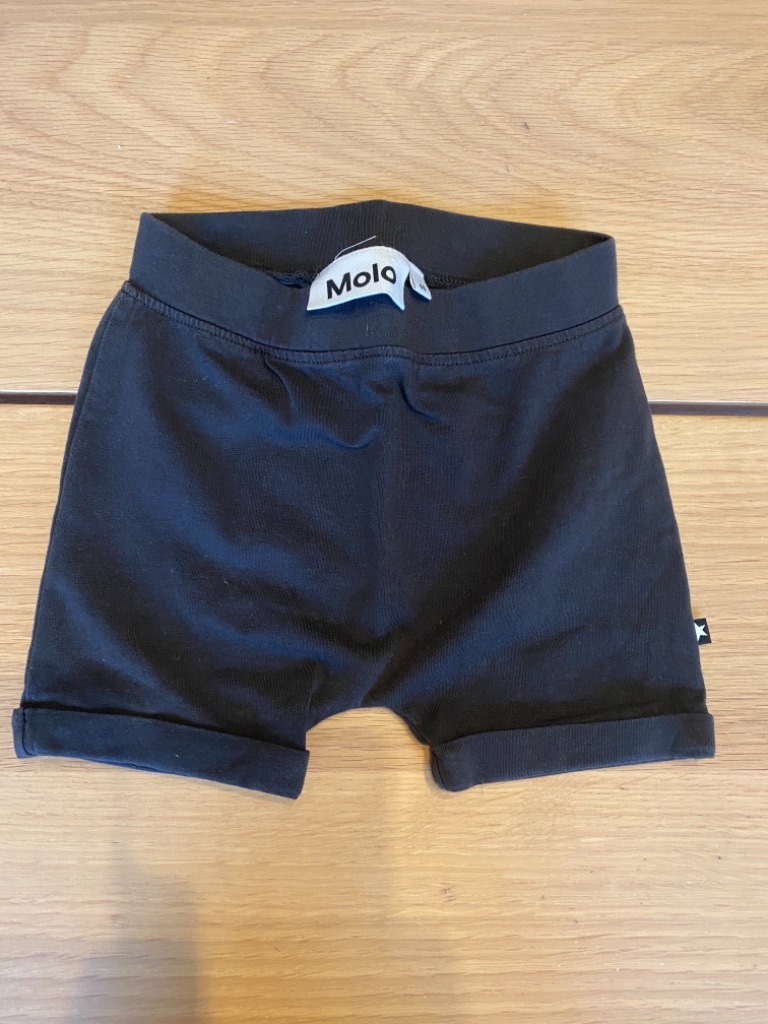 Molo shorts 68