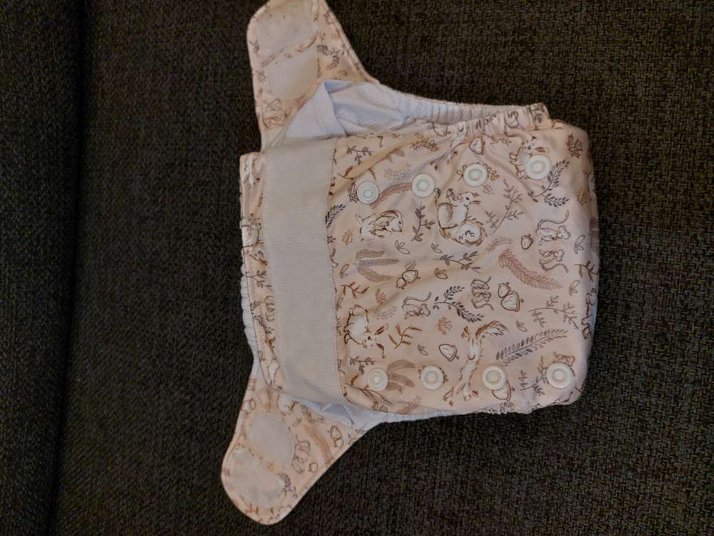 Taubleyja Noah Nappies AI2 + innlegg #1