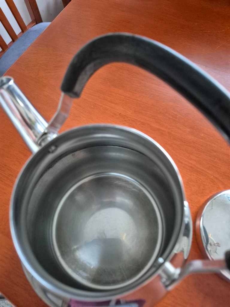 Teräspannu
