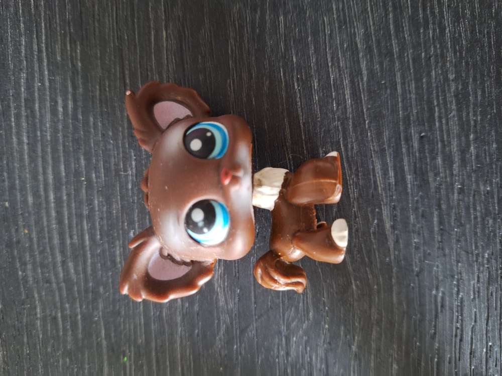 Ruskea Pet Shop koira