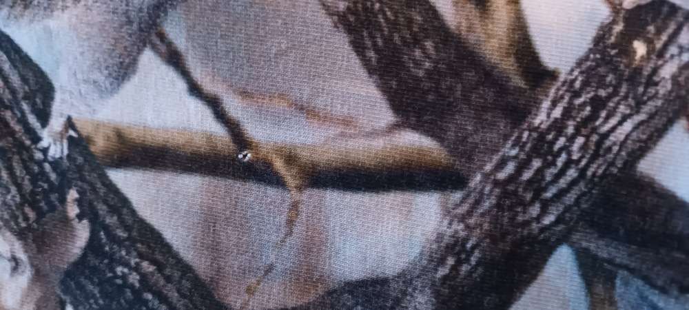 Molo íkorna sett st 92