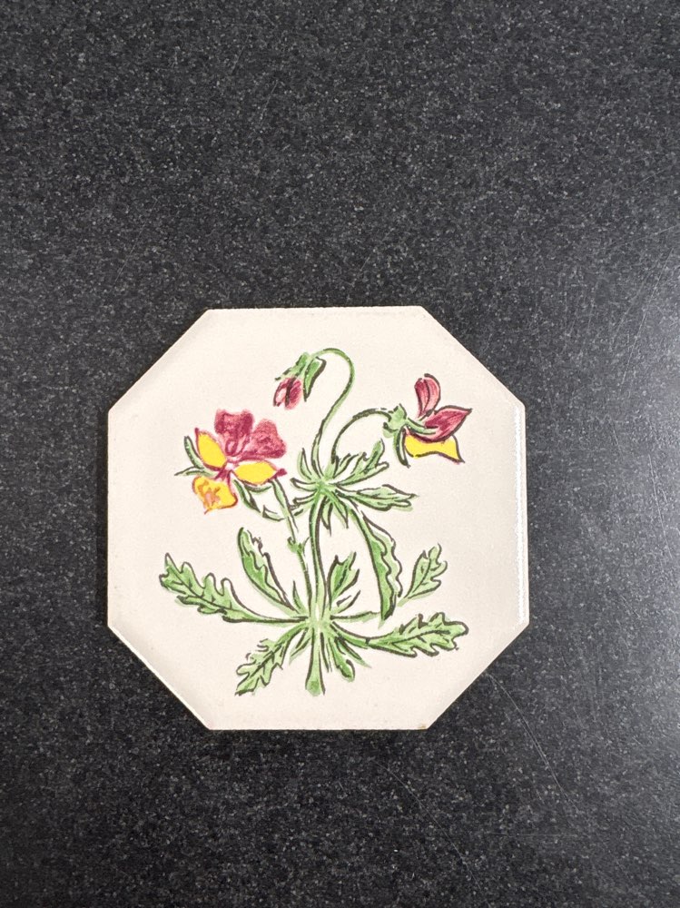 Villeroy 11kpl laattoja