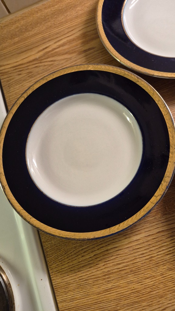 Lomonosov ruokalautanen 1kpl