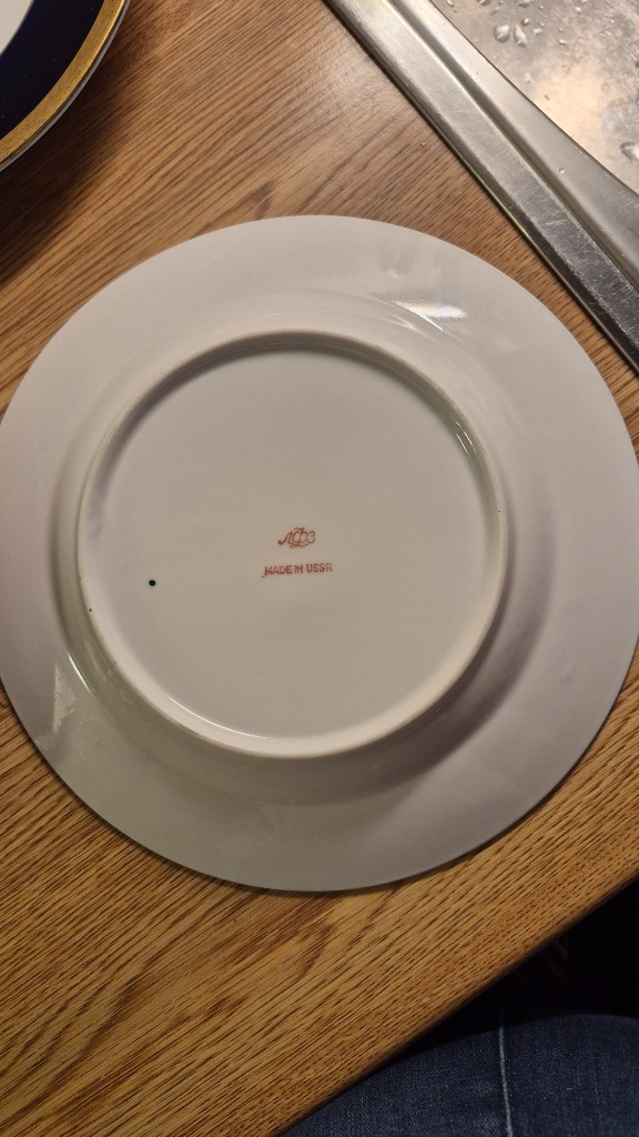 Lomonosov ruokalautanen 1kpl