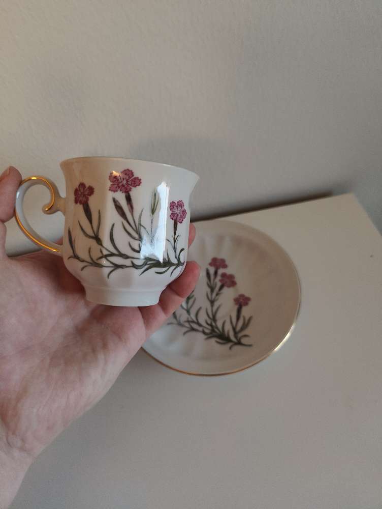 Neilikka kuppi + tassi