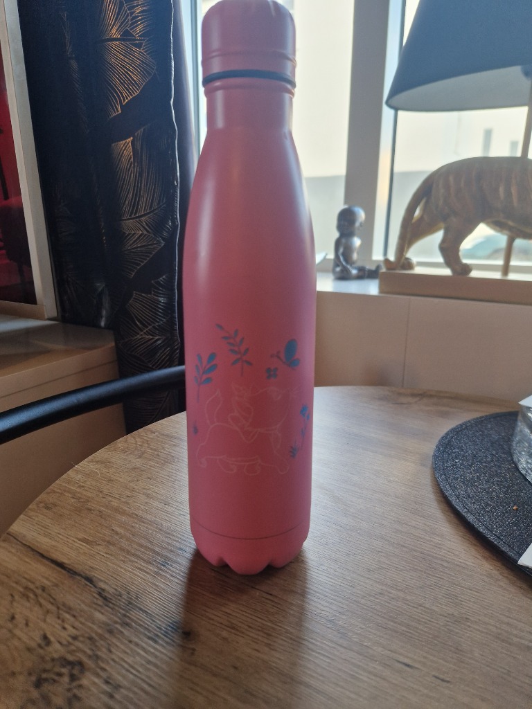 Bleikur járn brúsi disney kisa 