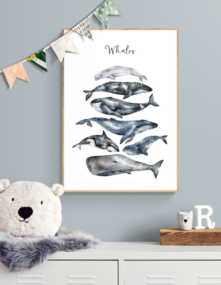 Plakat Whales