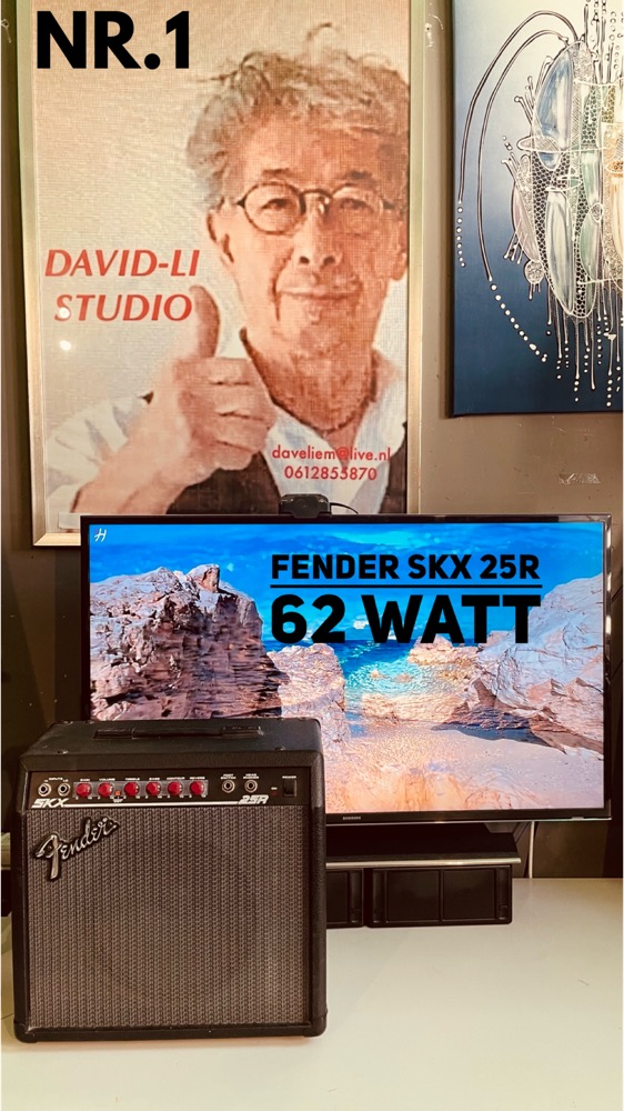 Fender SKX 62 watt
