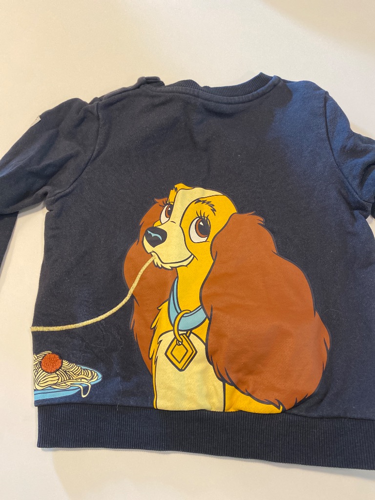 Pop disney peysa
