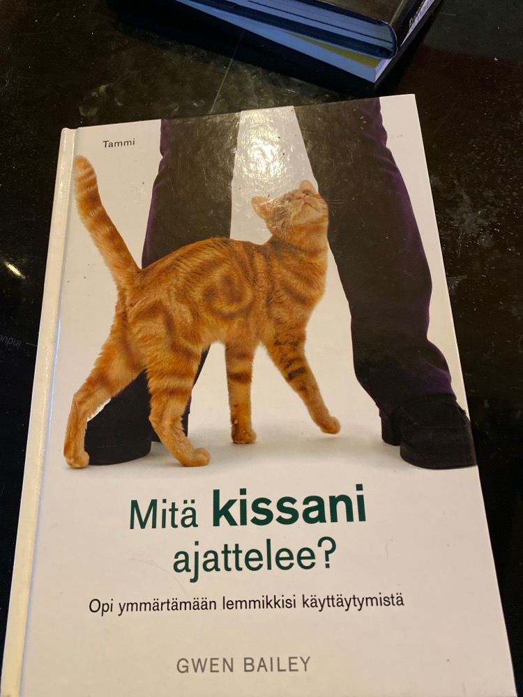 Kirja, mitä kissani ajattelee
