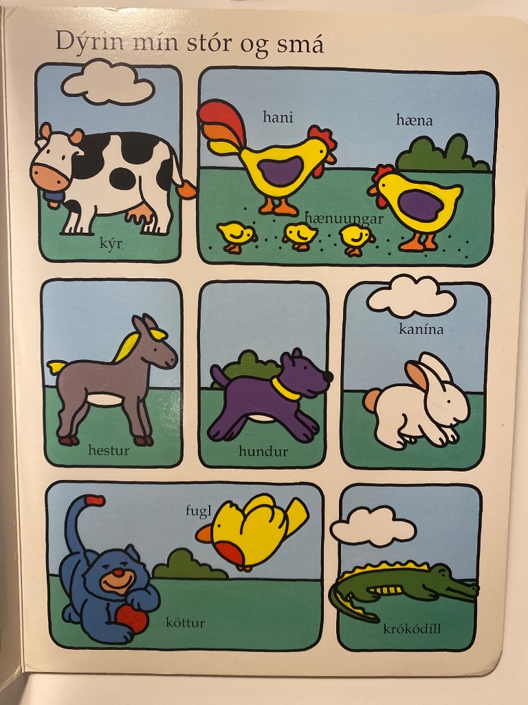 Orð og myndir